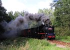 2020.08.27 JHMD U46.101 Jindřichův Hradec - Kamenice nad Lipou (17)